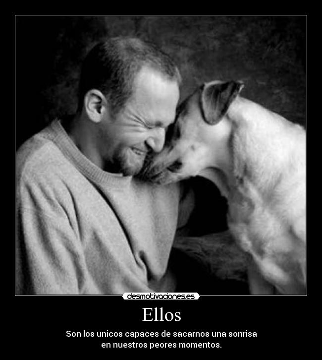 Ellos - 