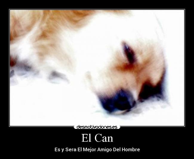 El Can -