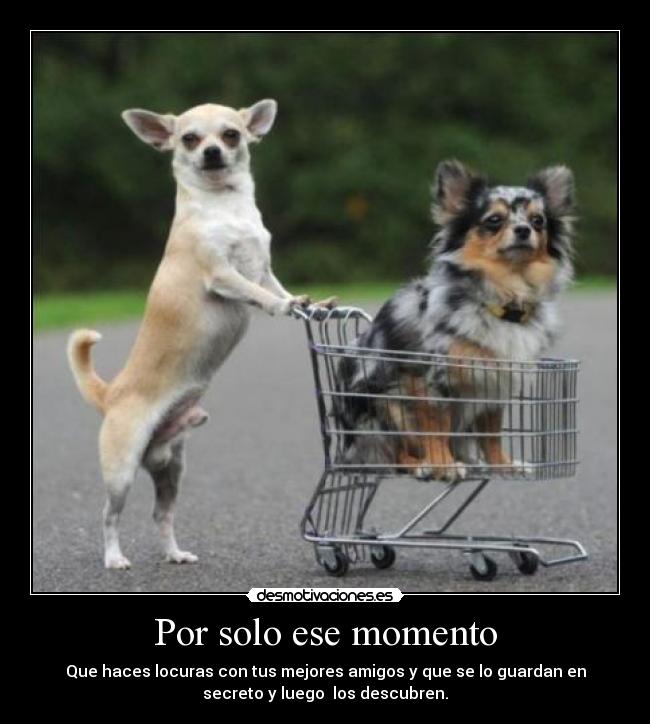 Por solo ese momento - Que haces locuras con tus mejores amigos y que se lo guardan en
secreto y luego  los descubren.