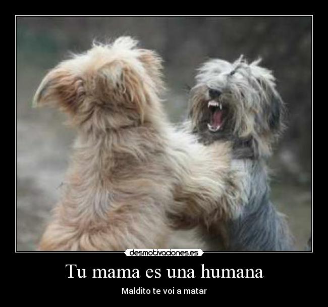 Tu mama es una humana -