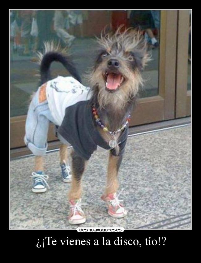 ¿¡Te vienes a la disco, tío!? - 