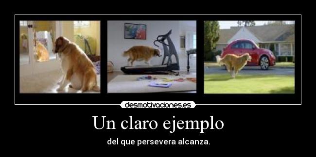 Un claro ejemplo - del que persevera alcanza.