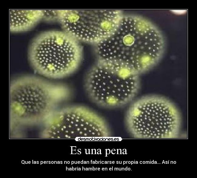 Es una pena - Que las personas no puedan fabricarse su propia comida... Así no
habría hambre en el mundo.