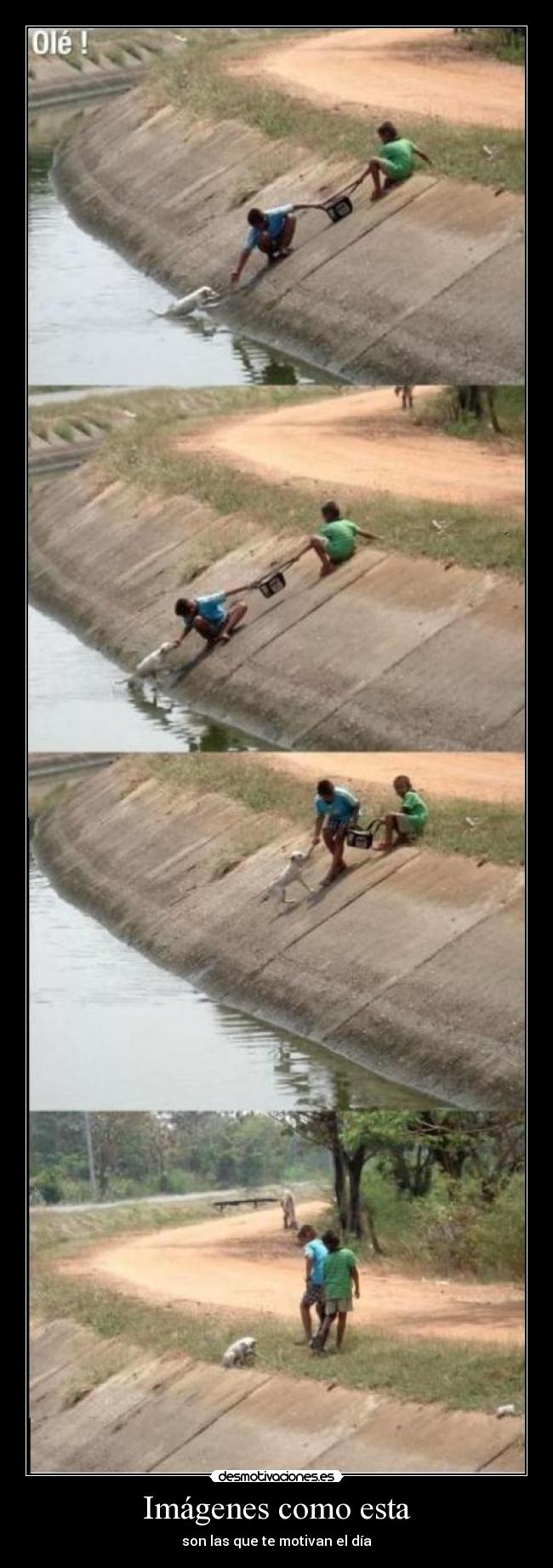 carteles garcia69 ejies manon dnl14 melasuddaxd varracas desmotivaciones