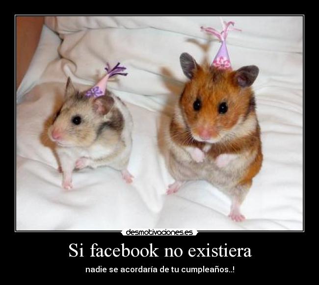 Si facebook no existiera -