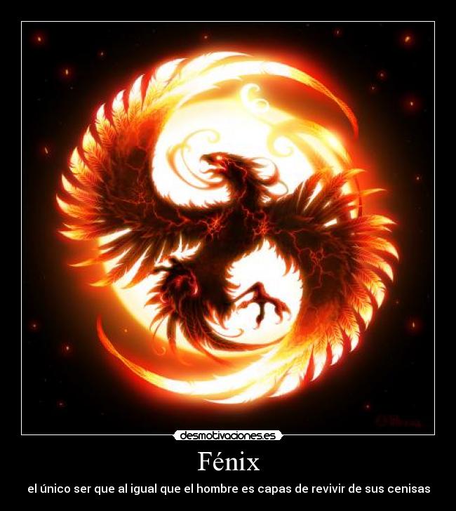 carteles desmotivaciones