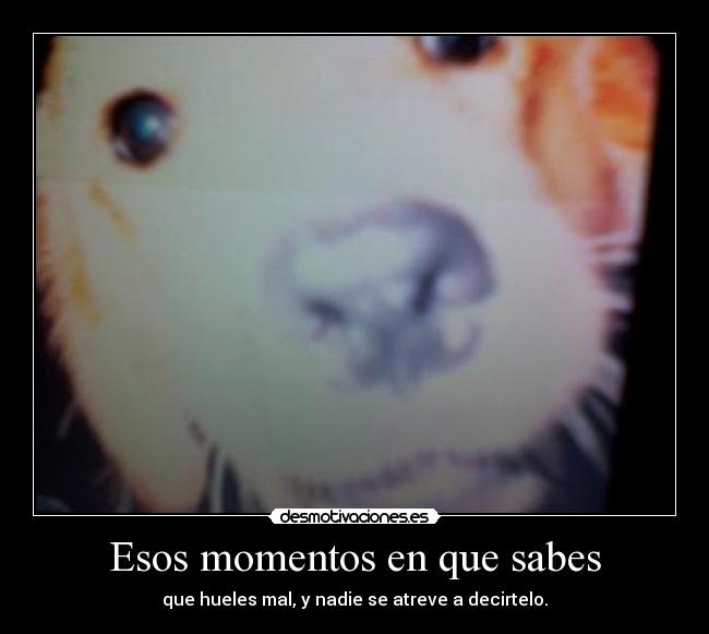 Esos momentos en que sabes - 