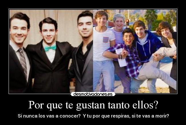 Por que te gustan tanto ellos? - Si nunca los vas a conocer? Y tu por que respiras, si te vas a morir?