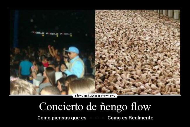 carteles nengo flow desmotivaciones