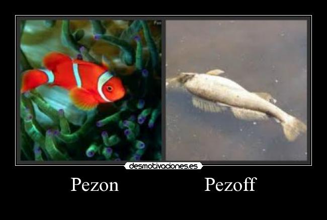 carteles desmotivaciones