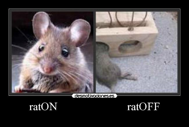 ratON ratOFF -
