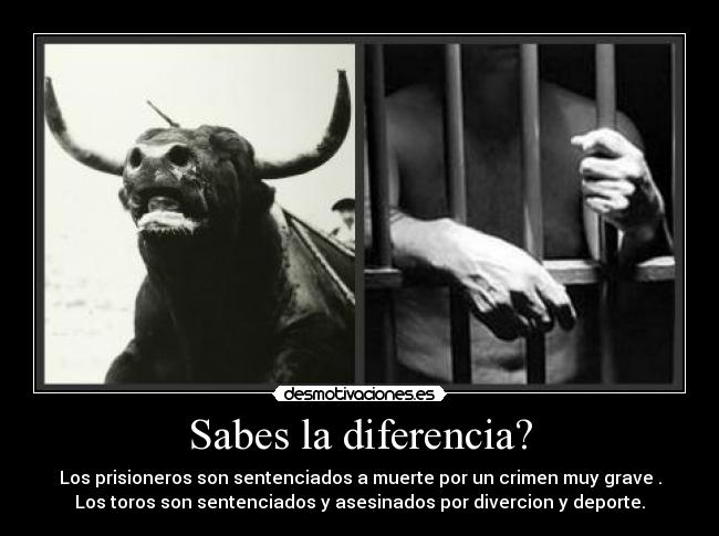 Sabes la diferencia? -