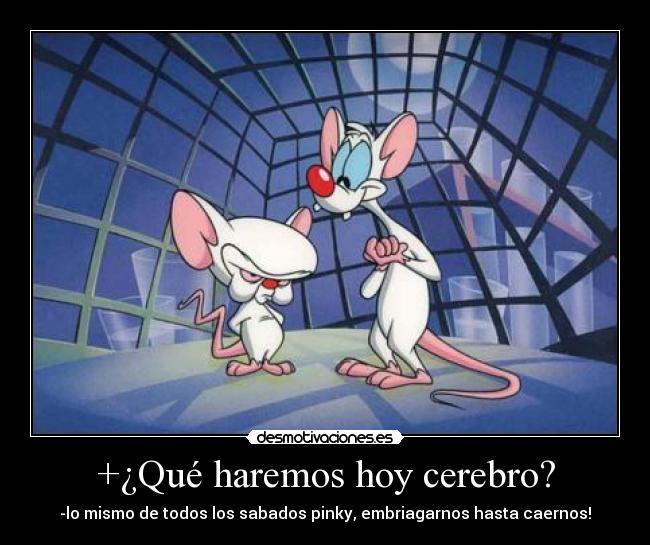 +¿Qué haremos hoy cerebro? -