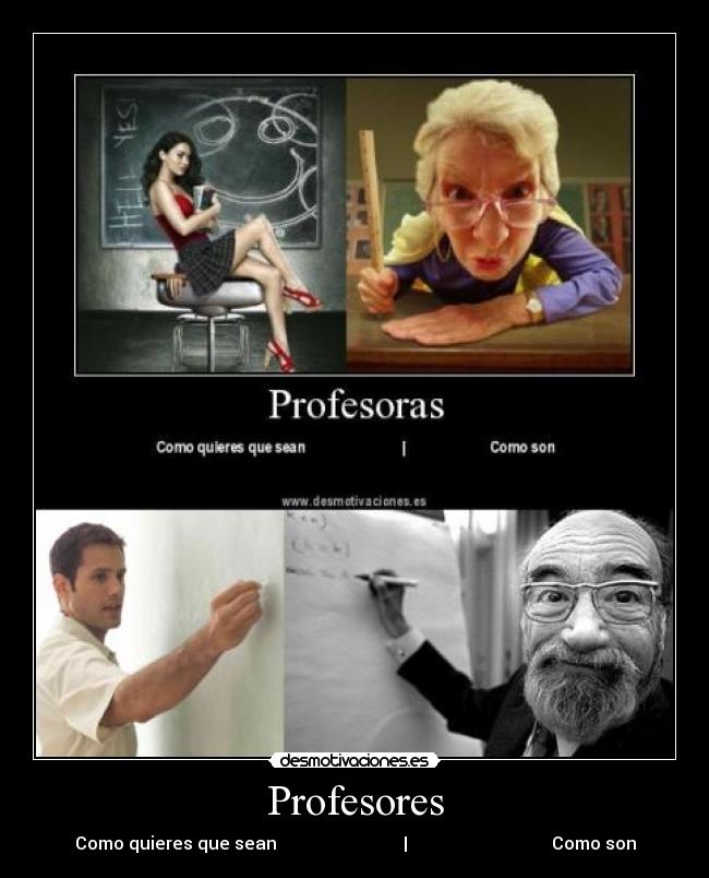 Profesores - 