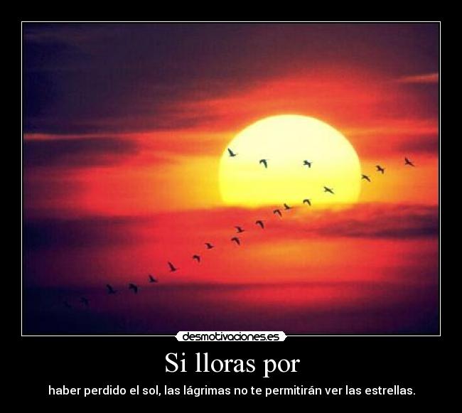 Si lloras por - haber perdido el sol, las lágrimas no te permitirán ver las estrellas.