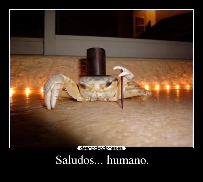 Saludos... humano. - 