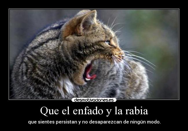 Que el enfado y la rabia - que sientes persistan y no desaparezcan de ningún modo.