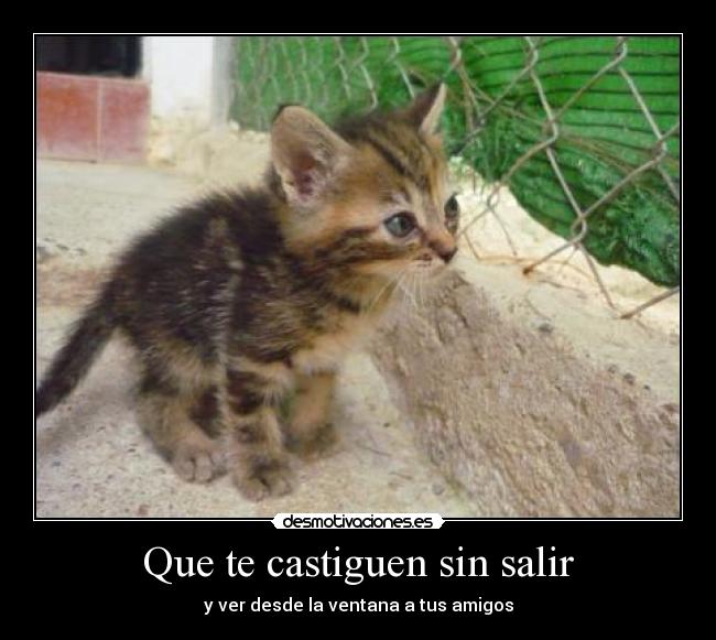 Que te castiguen sin salir -