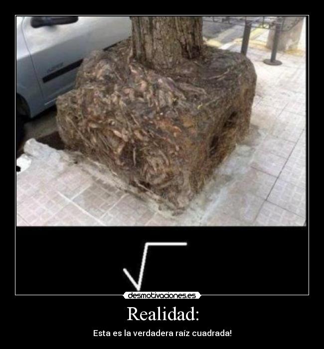 carteles  desmotivaciones