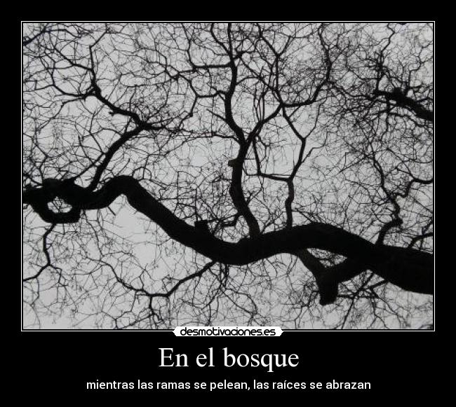 En el bosque -