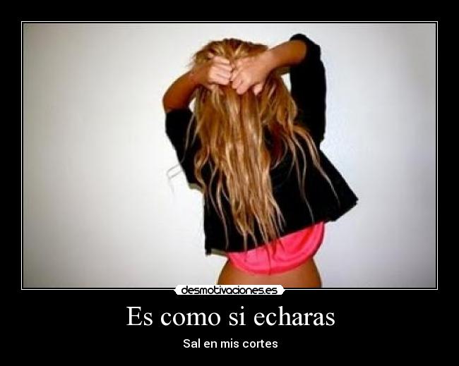 carteles 67pitu98 desmotivaciones