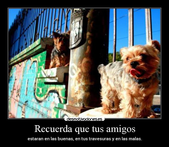 Recuerda que tus amigos - estaran en las buenas, en tus travesuras y en las malas.