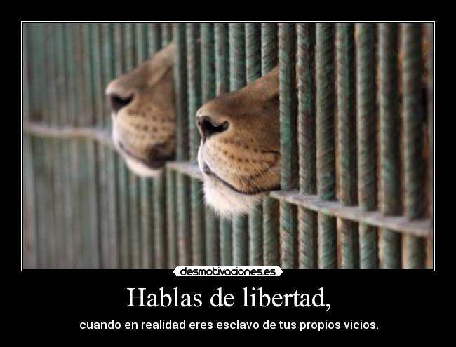 Hablas de libertad, -