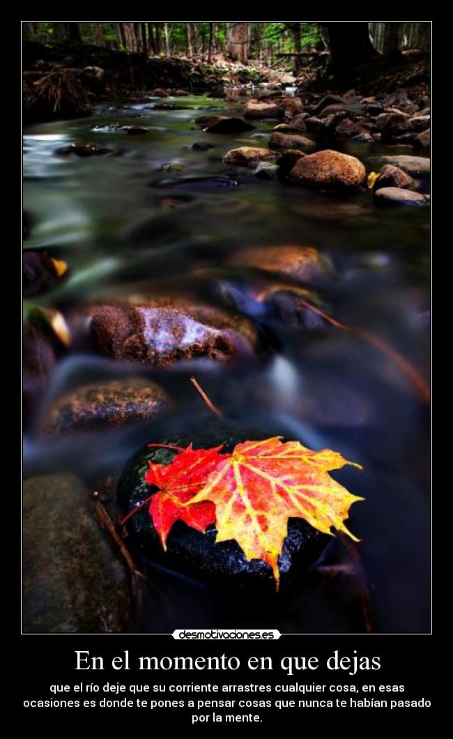 En el momento en que dejas - que el río deje que su corriente arrastres cualquier cosa, en esas
ocasiones es donde te pones a pensar cosas que nunca te habían pasado
por la mente.