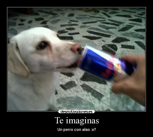 Te imaginas -