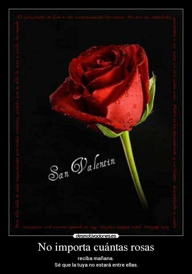 No importa cuántas rosas -