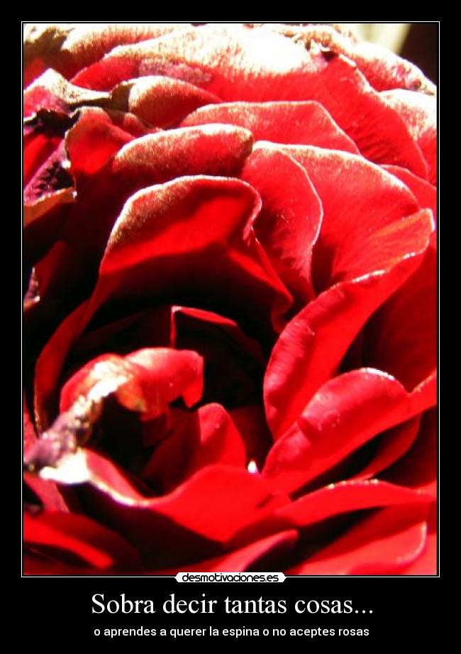 carteles fuiste desmotivaciones