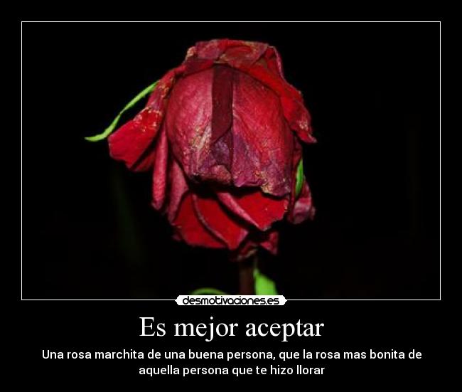 Es mejor aceptar - Una rosa marchita de una buena persona, que la rosa mas bonita de
aquella persona que te hizo llorar