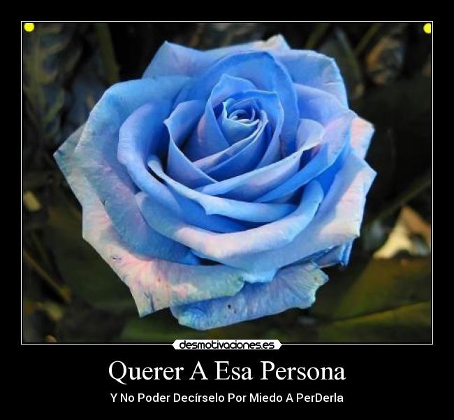 Querer A Esa Persona - Y No Poder Decírselo Por Miedo A PerDerla