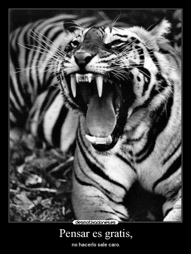 Pensar es gratis, -