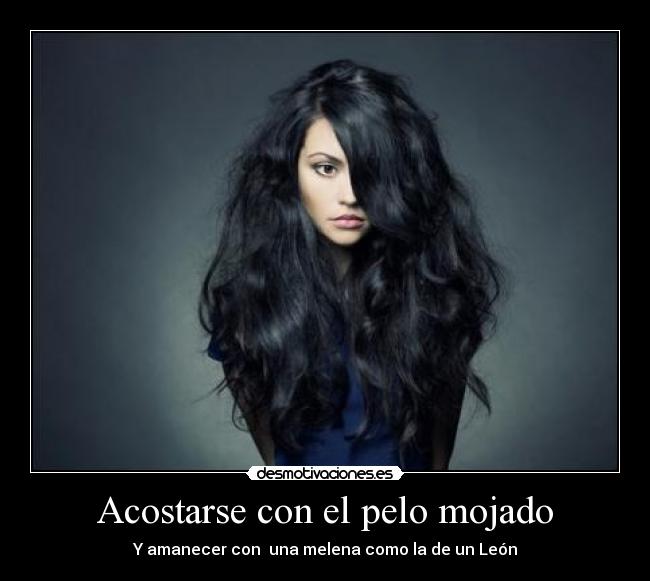 Acostarse con el pelo mojado - Y amanecer con una melena como la de un León