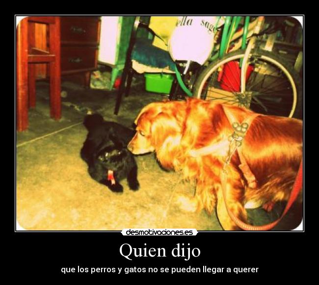Quien dijo -