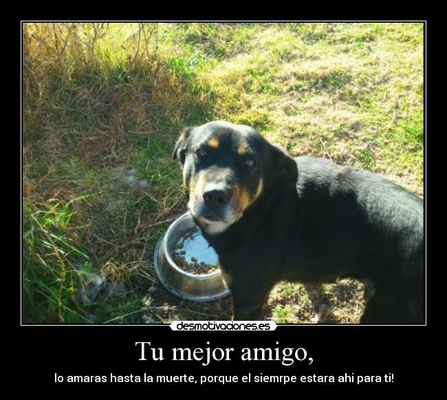 Tu mejor amigo, - 