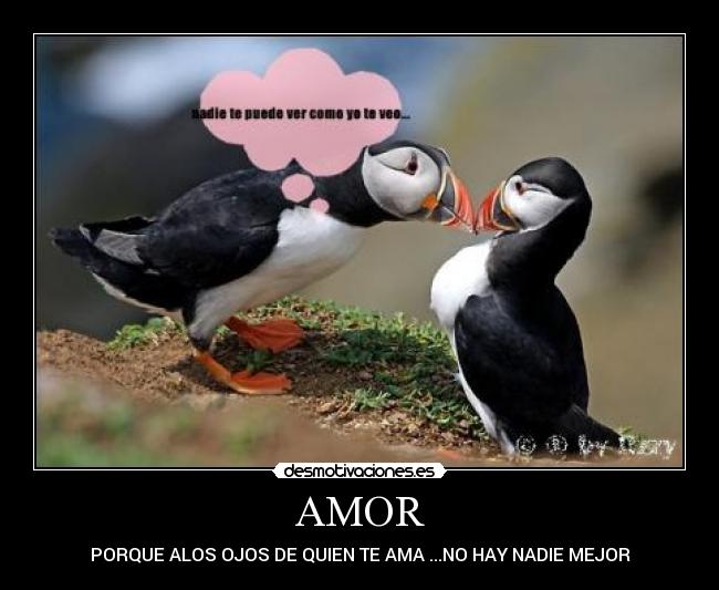 AMOR - PORQUE ALOS OJOS DE QUIEN TE AMA ...NO HAY NADIE MEJOR