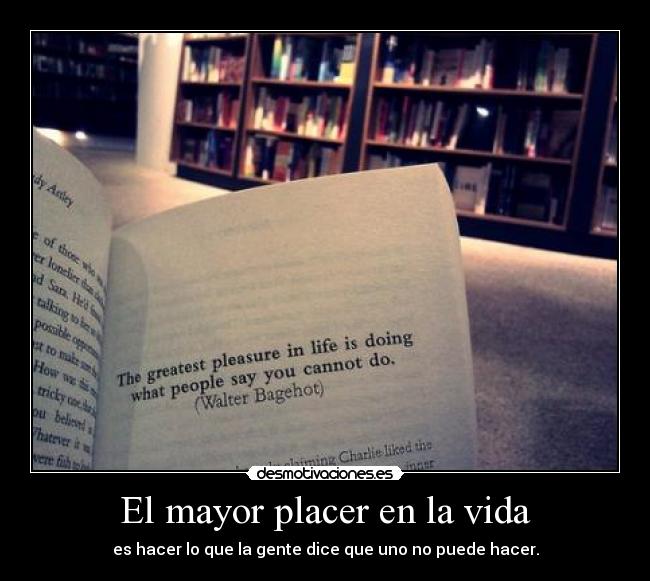 carteles vida mayor placer vida desmotivaciones