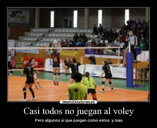 Casi todos no juegan al voley - Pero algunos si que juegan como estos y mas