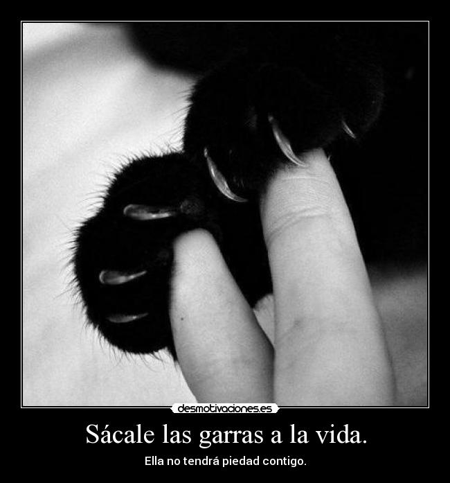 Sácale las garras a la vida. -