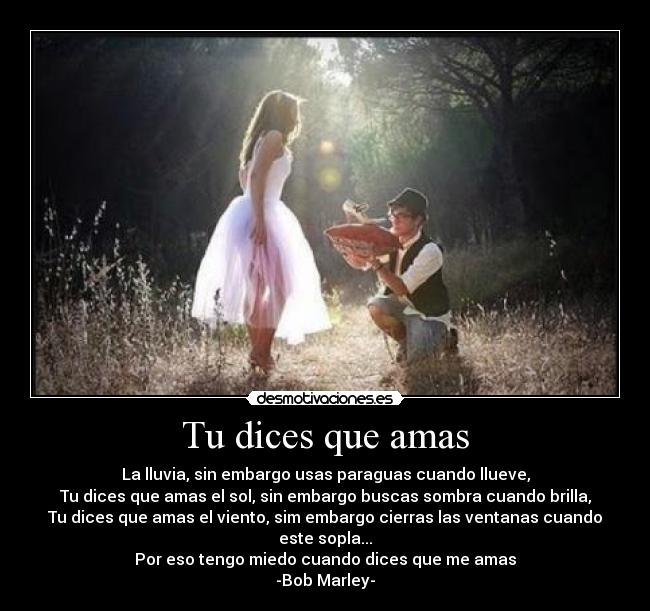 Tu dices que amas - 