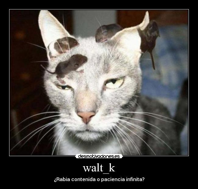 walt_k -