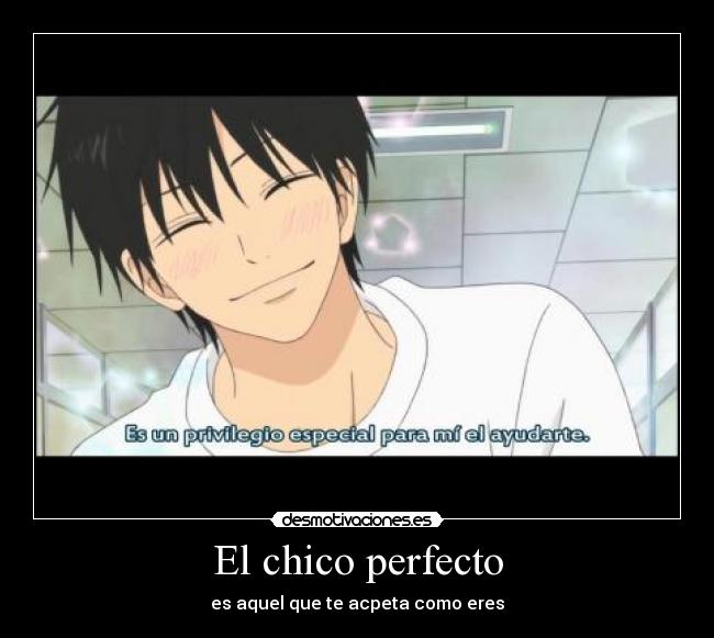 El chico perfecto - 