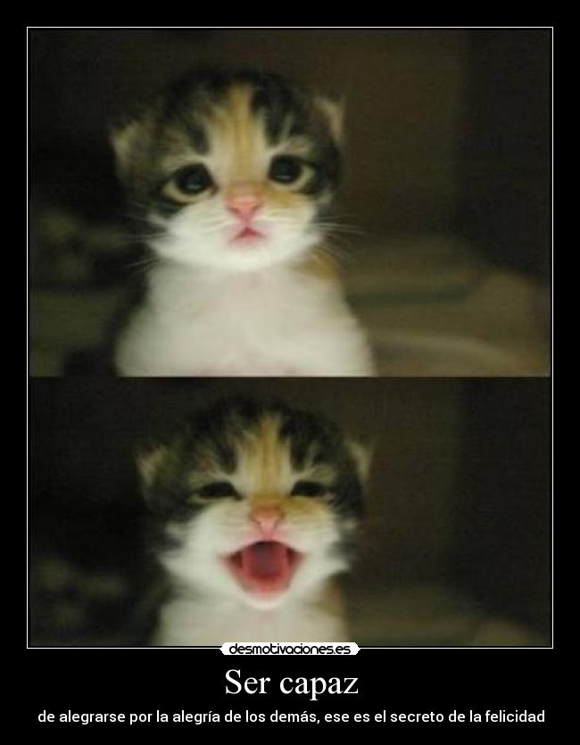 Ser capaz - de alegrarse por la alegría de los demás, ese es el secreto de la felicidad