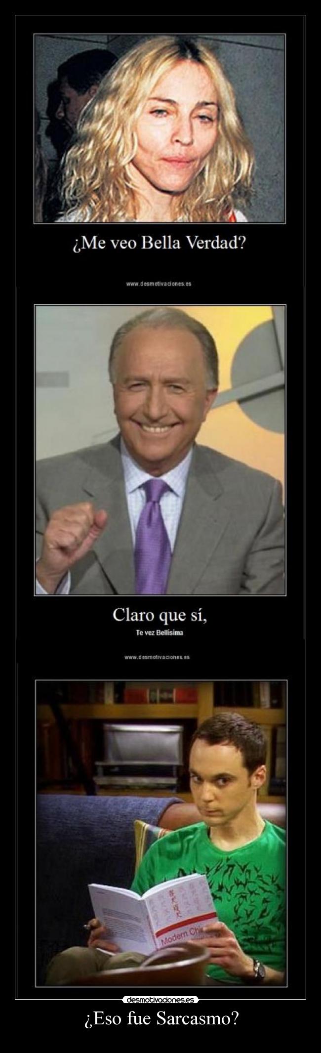 ¿Eso fue Sarcasmo? -