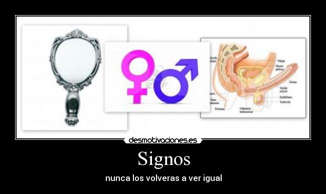 Signos - nunca los volveras a ver igual
