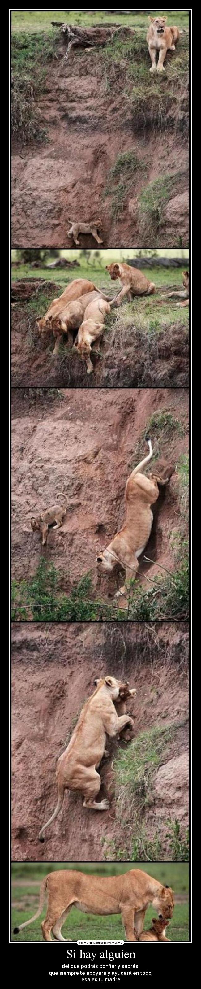 Si hay alguien - del que podrás confiar y sabrás
que siempre te apoyará y ayudará en todo,
esa es tu madre.