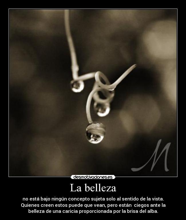 La belleza - 