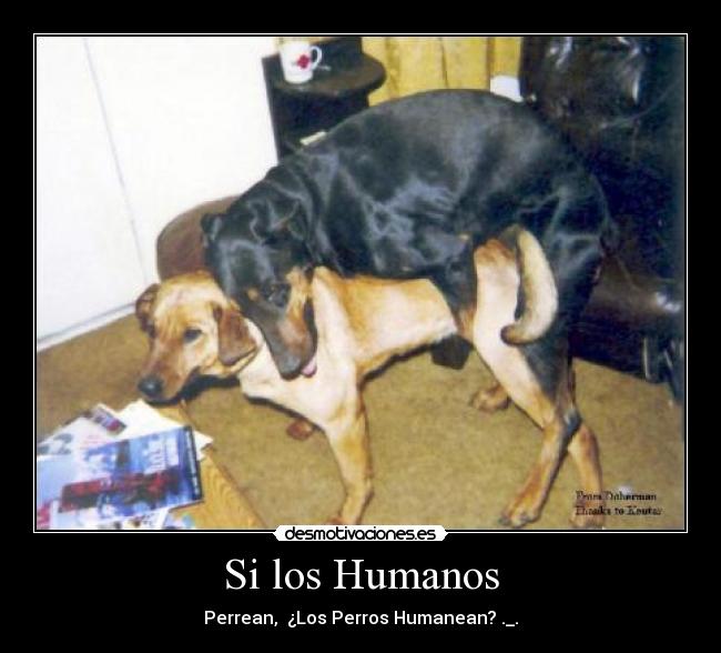 Si los Humanos -